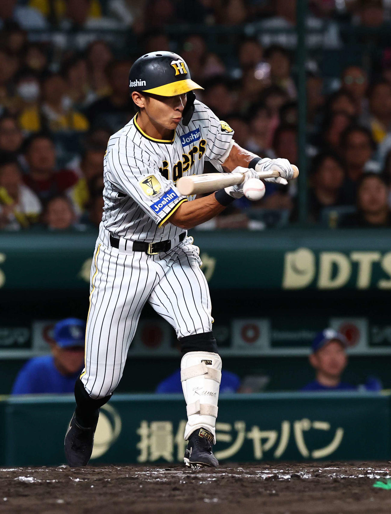 阪神対中日　7回裏阪神無死二塁、熊谷は送りバントを決める（撮影・上田博志）