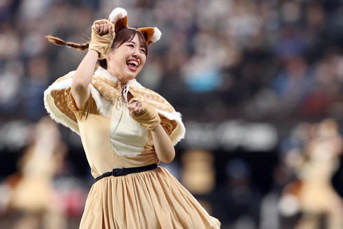 新コスチュームで「きつねダンス」を踊るファイターズガールの鈴木穂乃花