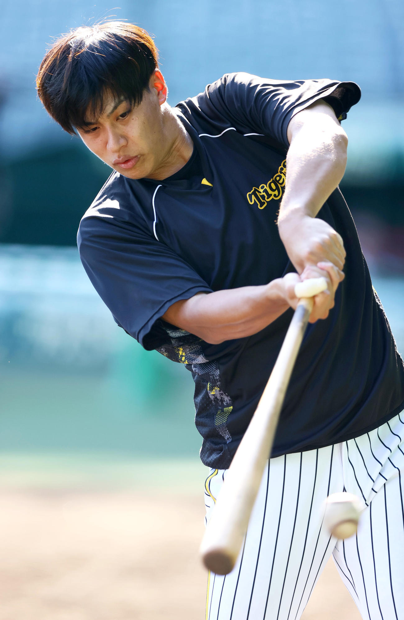 阪神対中日　試合前の練習に励む阪神植田（撮影・上山淳一）