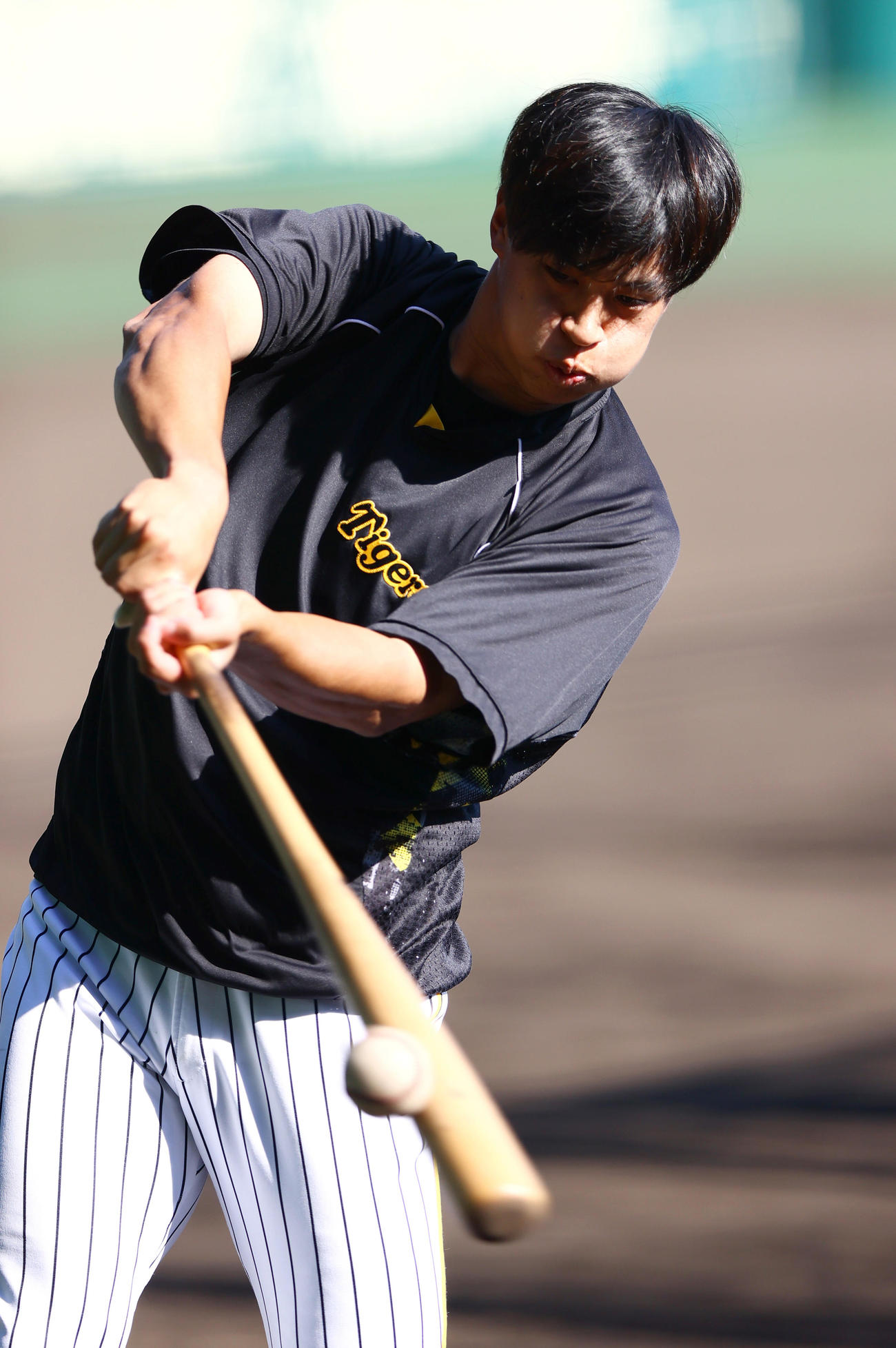阪神対中日　試合前の練習に励む阪神植田（撮影・上山淳一）