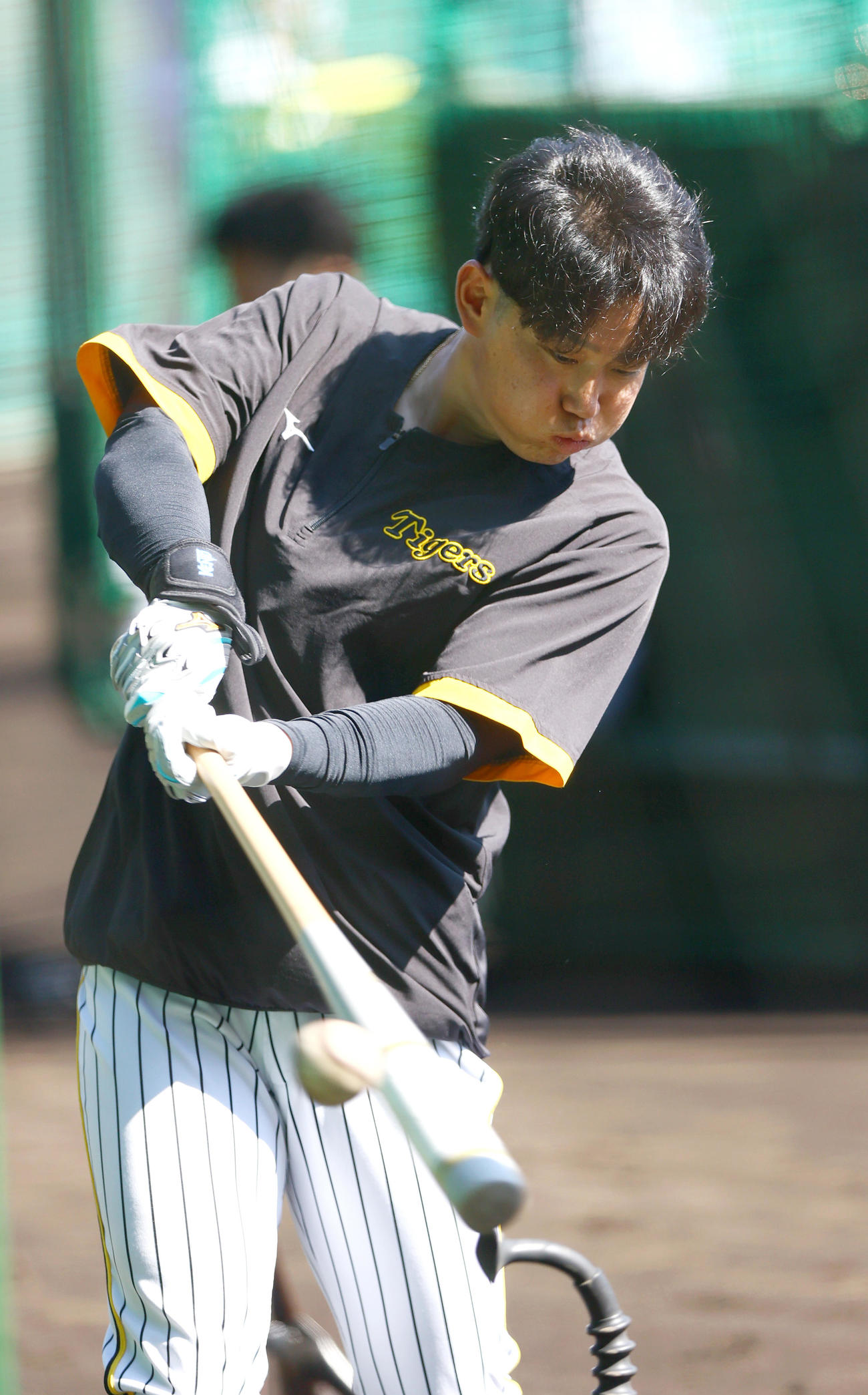 阪神対中日　試合前の練習に励む阪神糸原（撮影・上山淳一）