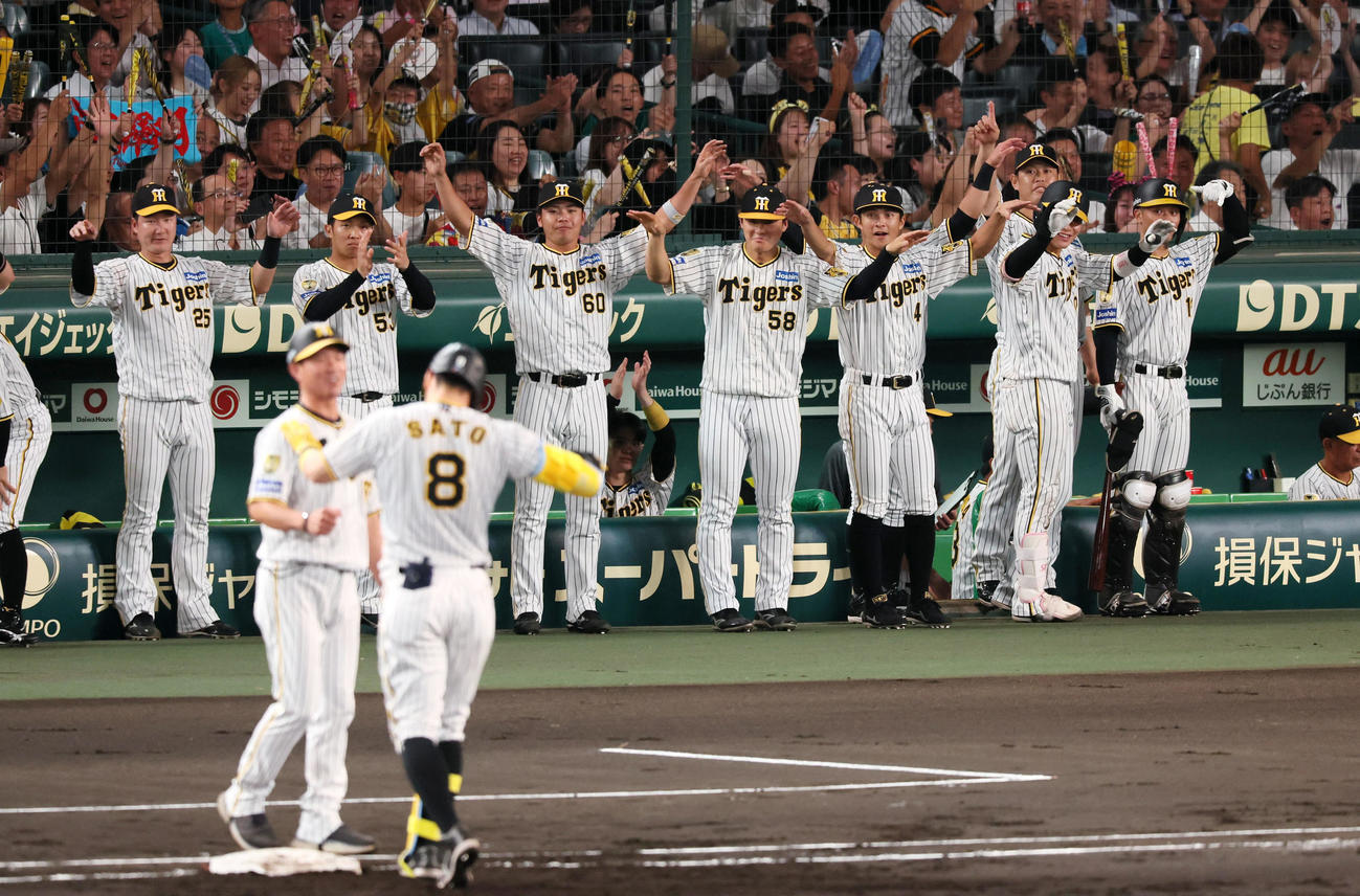 阪神対中日　1回裏阪神無死二、三塁、佐藤輝の中2点適時打に喜ぶベンチの選手たち（撮影・加藤哉）