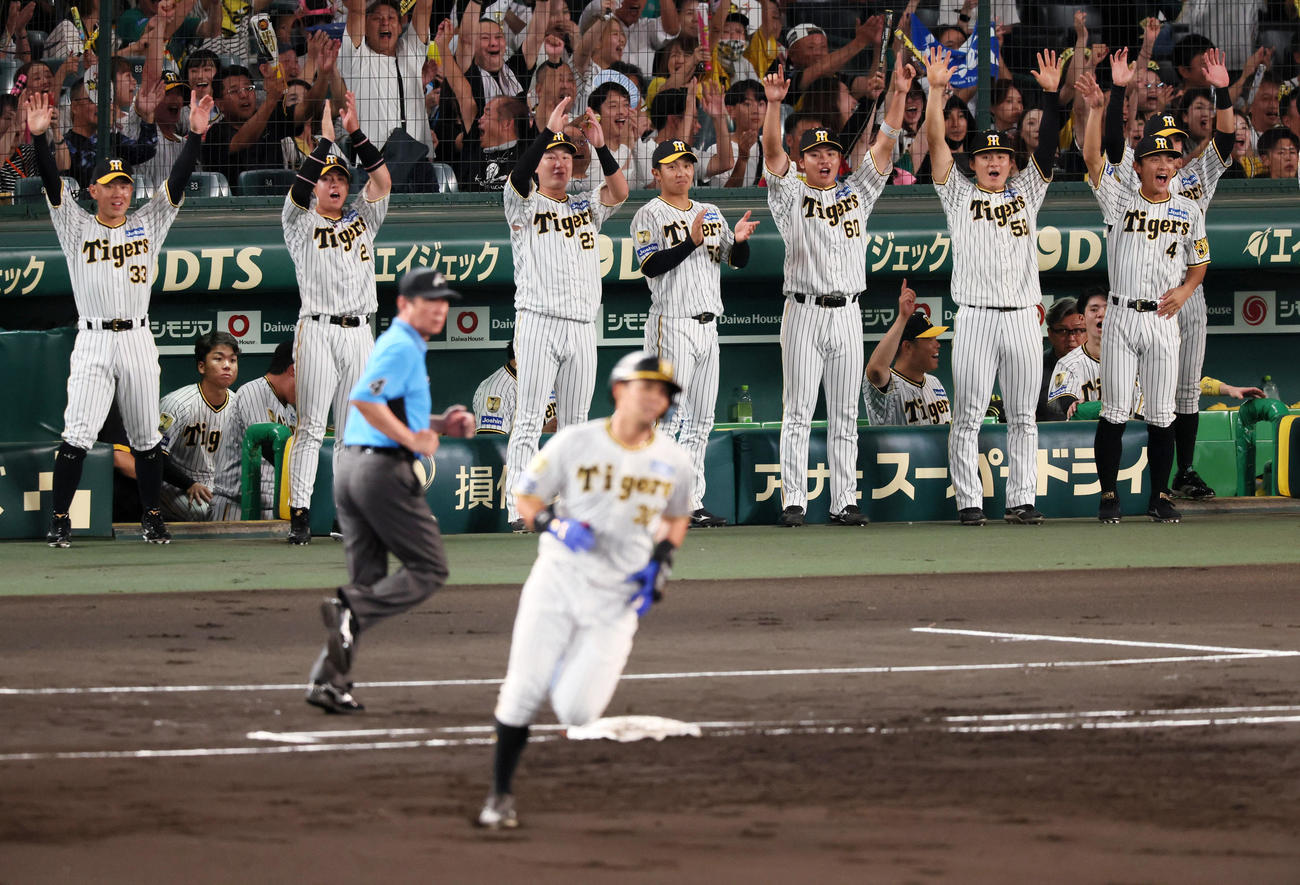 阪神対中日　1回裏阪神無死一塁、井上の左越え2点本塁打にベンチで喜ぶ選手たち（撮影・加藤哉）