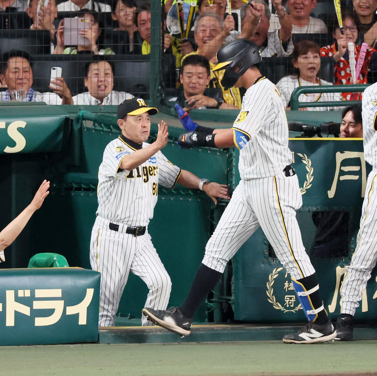 阪神対中日　1回裏阪神無死一塁、井上は左越え2点本塁打を放ち出迎える岡田監督（左）とタッチする（撮影・加藤哉）
