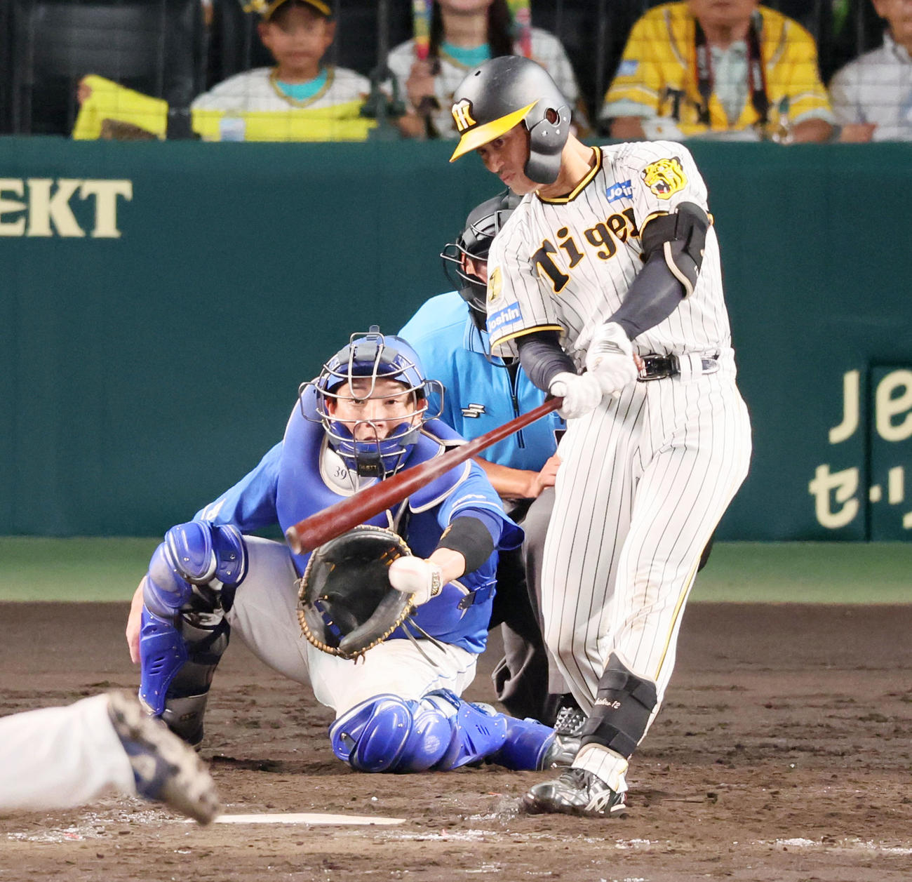 阪神対中日　5回裏阪神1死一、二塁、坂本は左前打を放つ（撮影・加藤哉）