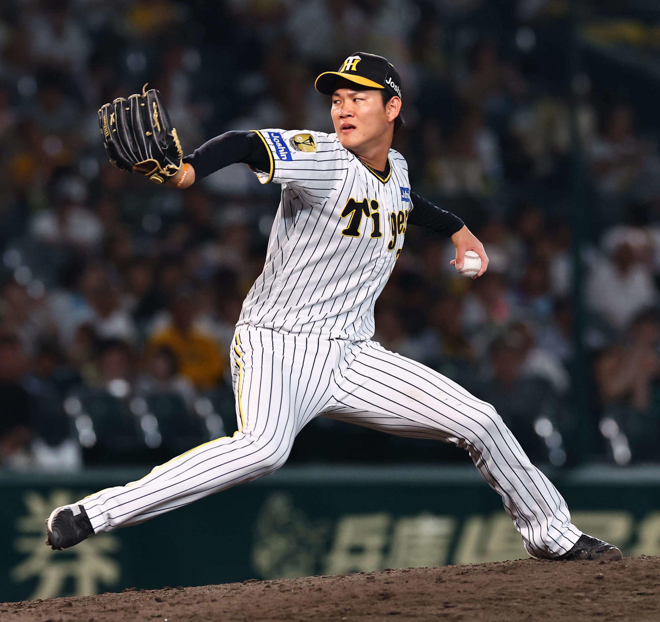 阪神及川雅貴（2024年9月4日撮影）