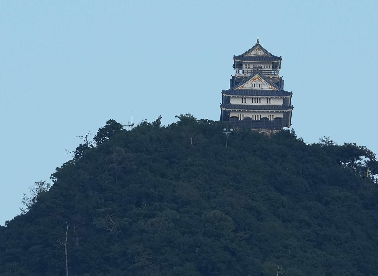 巨人対ヤクルト　岐阜城（撮影・たえ見朱実）