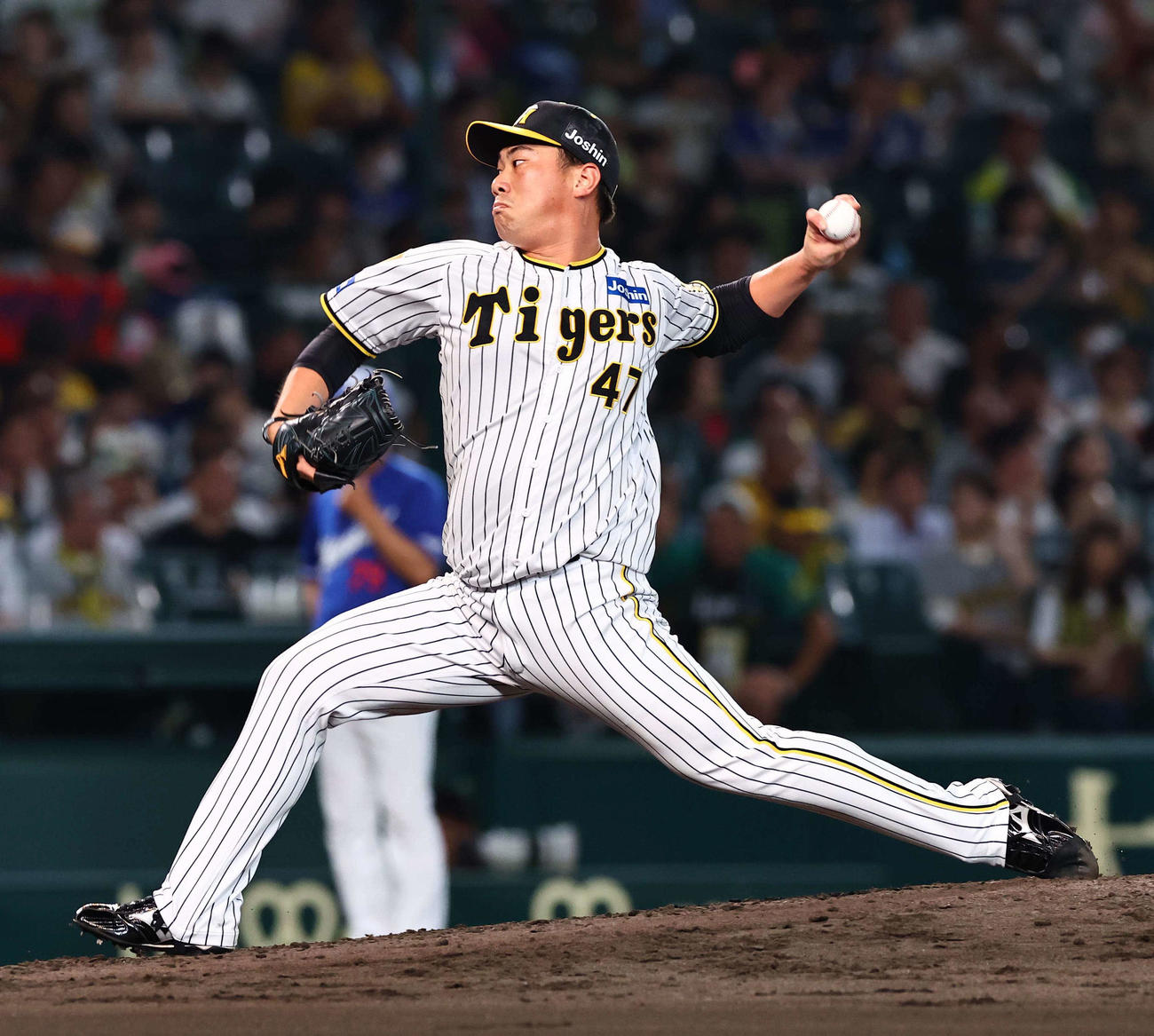 阪神対中日　阪神2番手の桐敷（撮影・上田博志）