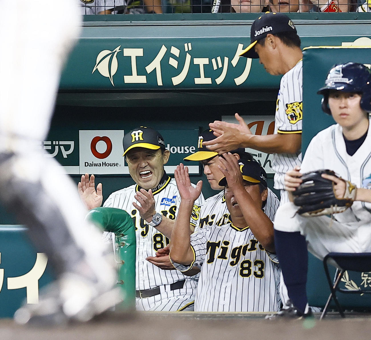阪神対中日　岡田監督（左）は中日に3連勝しベンチで手をたたいて喜ぶ（撮影・藤尾明華）