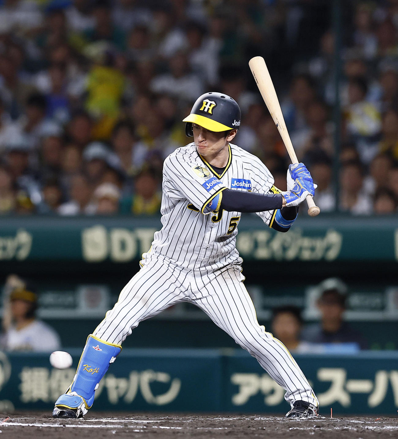 阪神対中日　6回裏阪神1死一塁、四球を選ぶ近本（撮影・藤尾明華）