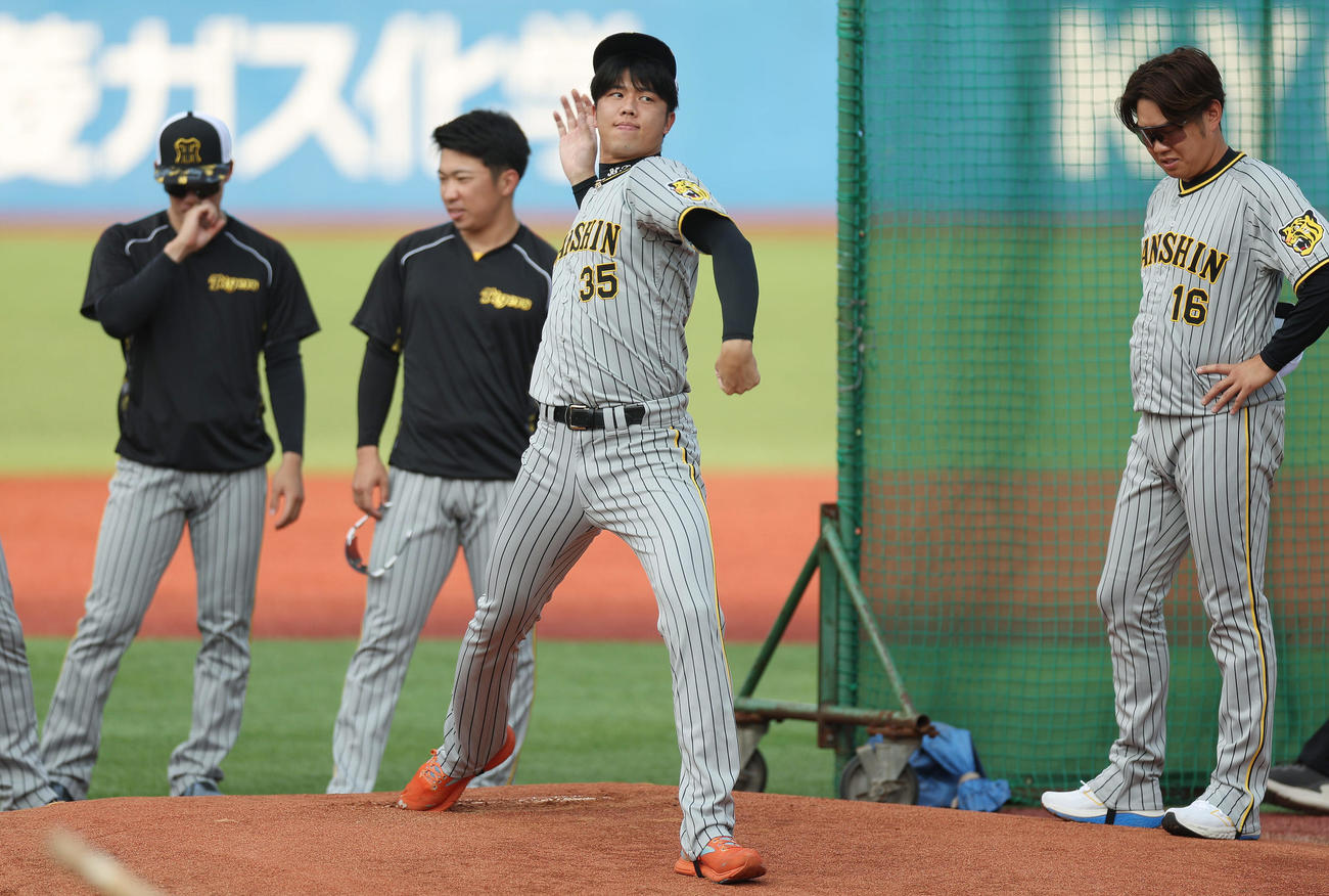 ヤクルト対阪神　神宮球場のマウンドを確認する阪神才木（中央）と西勇（右）ら（撮影・前田充）