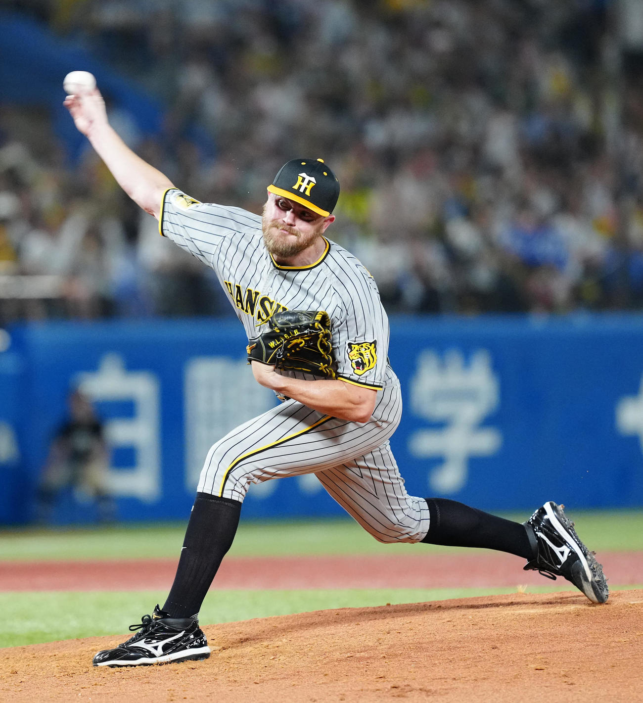 ヤクルト対阪神　阪神先発のビーズリー（撮影・江口和貴）