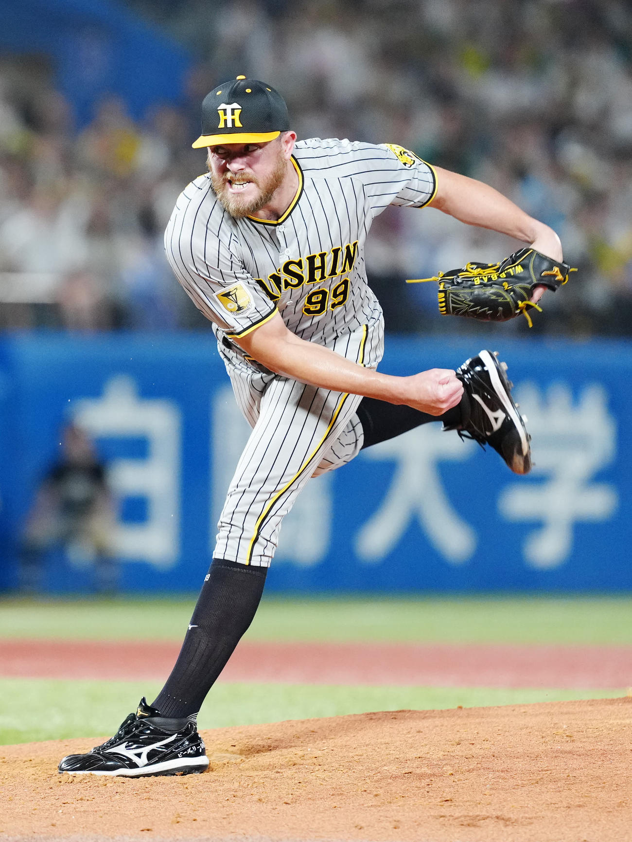 ヤクルト対阪神　阪神先発のビーズリー（撮影・江口和貴）
