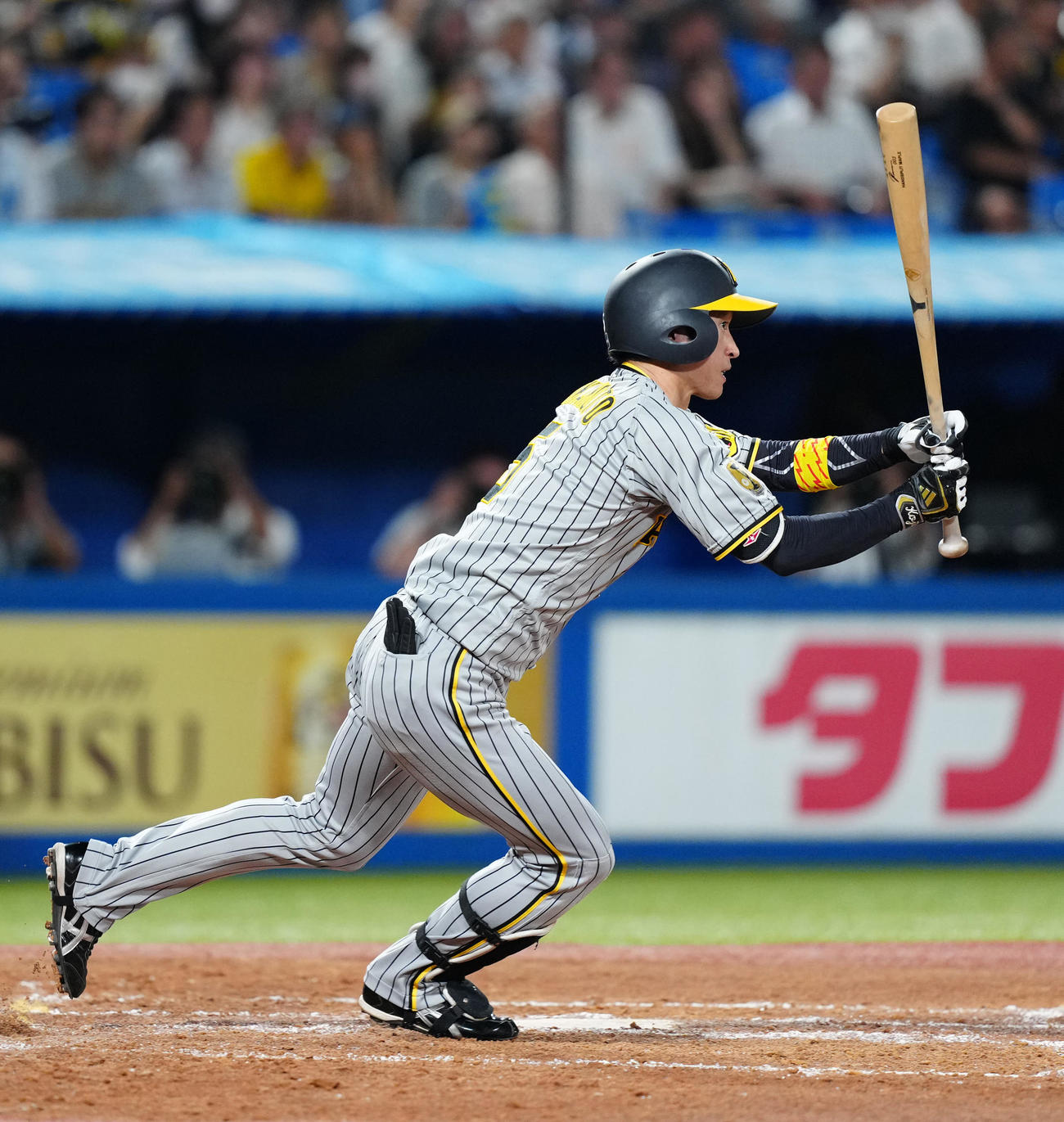 ヤクルト対阪神　2回表阪神2死二塁、適時打を放つ近本（撮影・江口和貴）