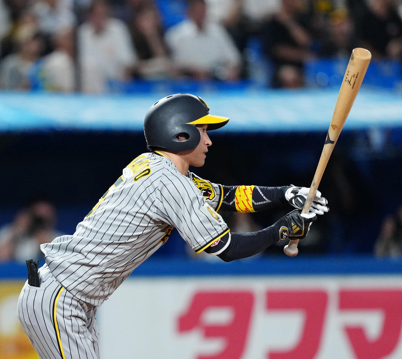 ヤクルト対阪神　2回表阪神2死二塁、適時打を放つ近本（撮影・江口和貴）
