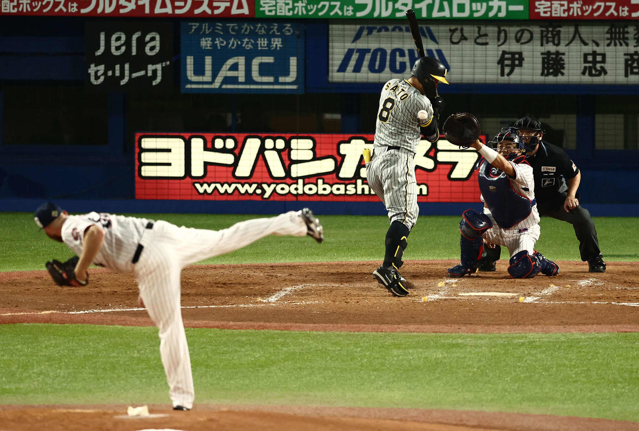 ヤクルト対阪神　3回表阪神2死二塁、死球を受ける佐藤輝。投手サイスニード（撮影・河田真司）
