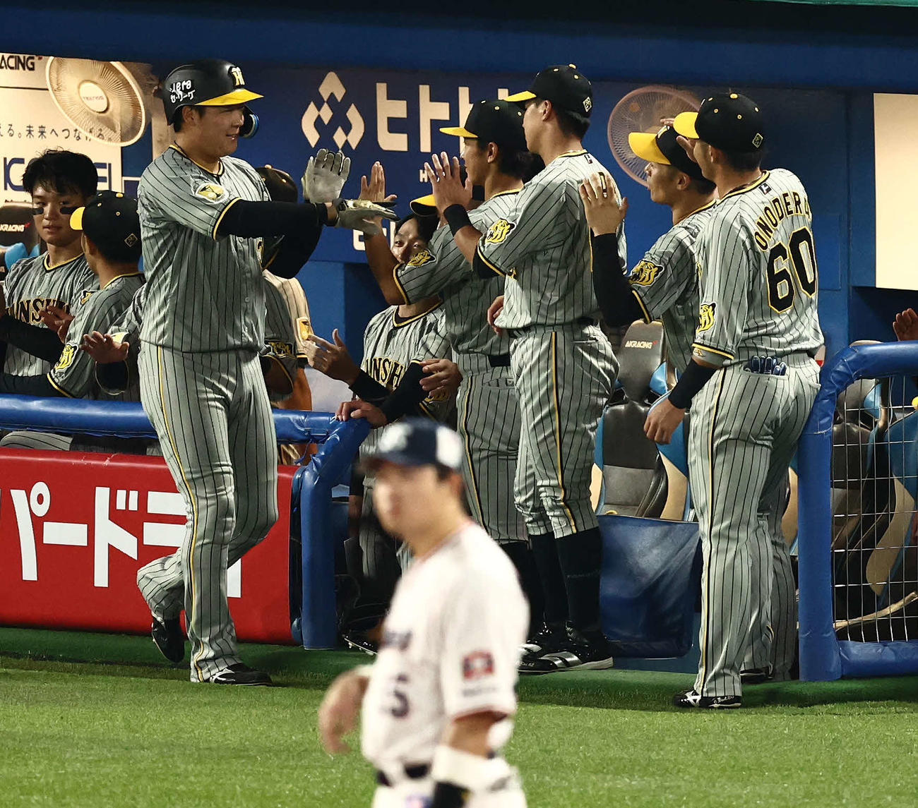 ヤクルト対阪神　5回表阪神無死二塁、佐藤輝の適時打で生還しチームメートに迎えられる大山（撮影・河田真司）