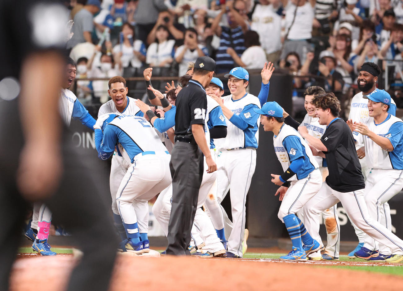 日本ハム対オリックス　9回裏日本ハム2死満塁、サヨナラ勝利に歓喜するナインたち（撮影・佐藤翔太）