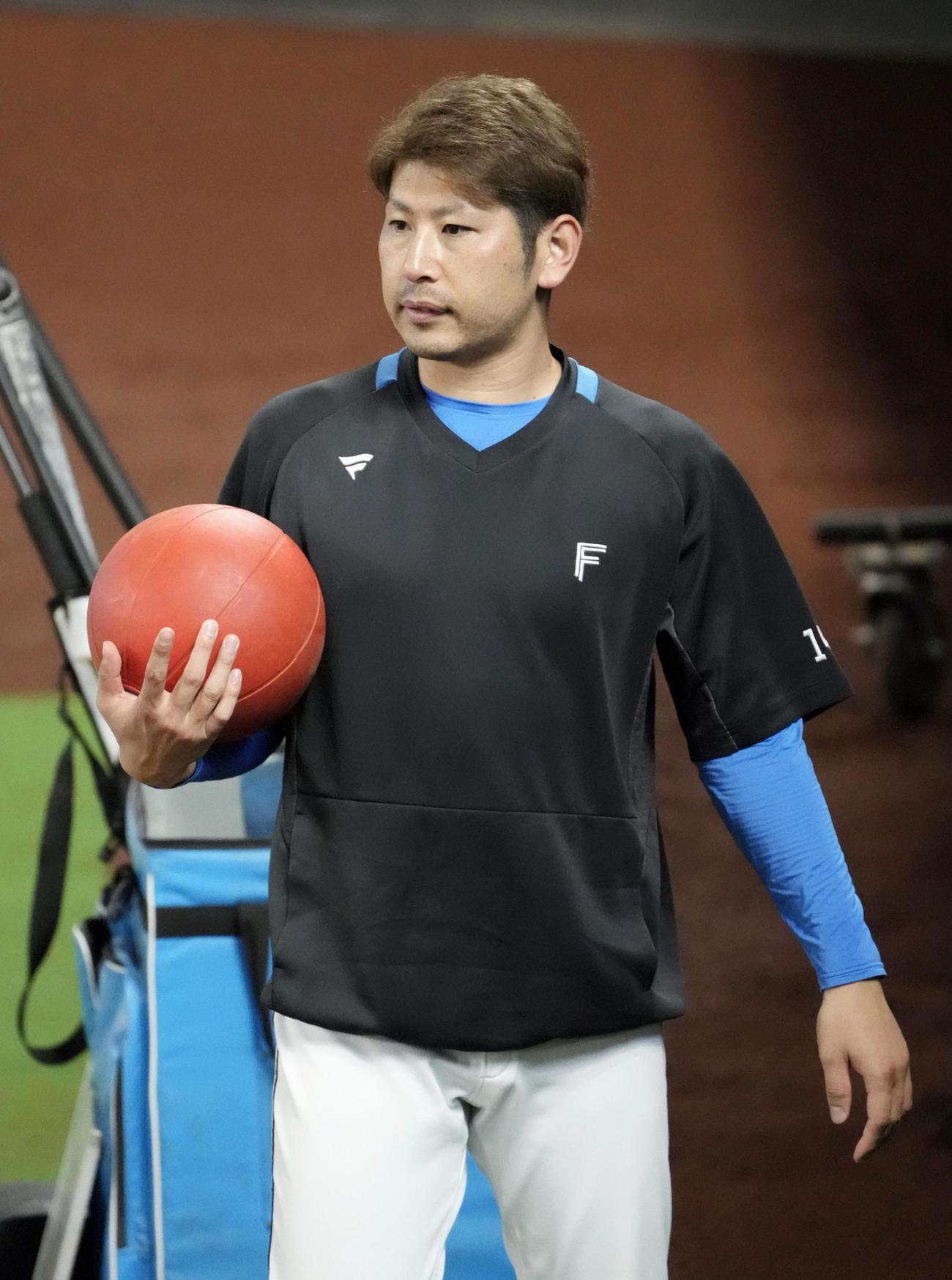 調整する日本ハム加藤貴（共同）