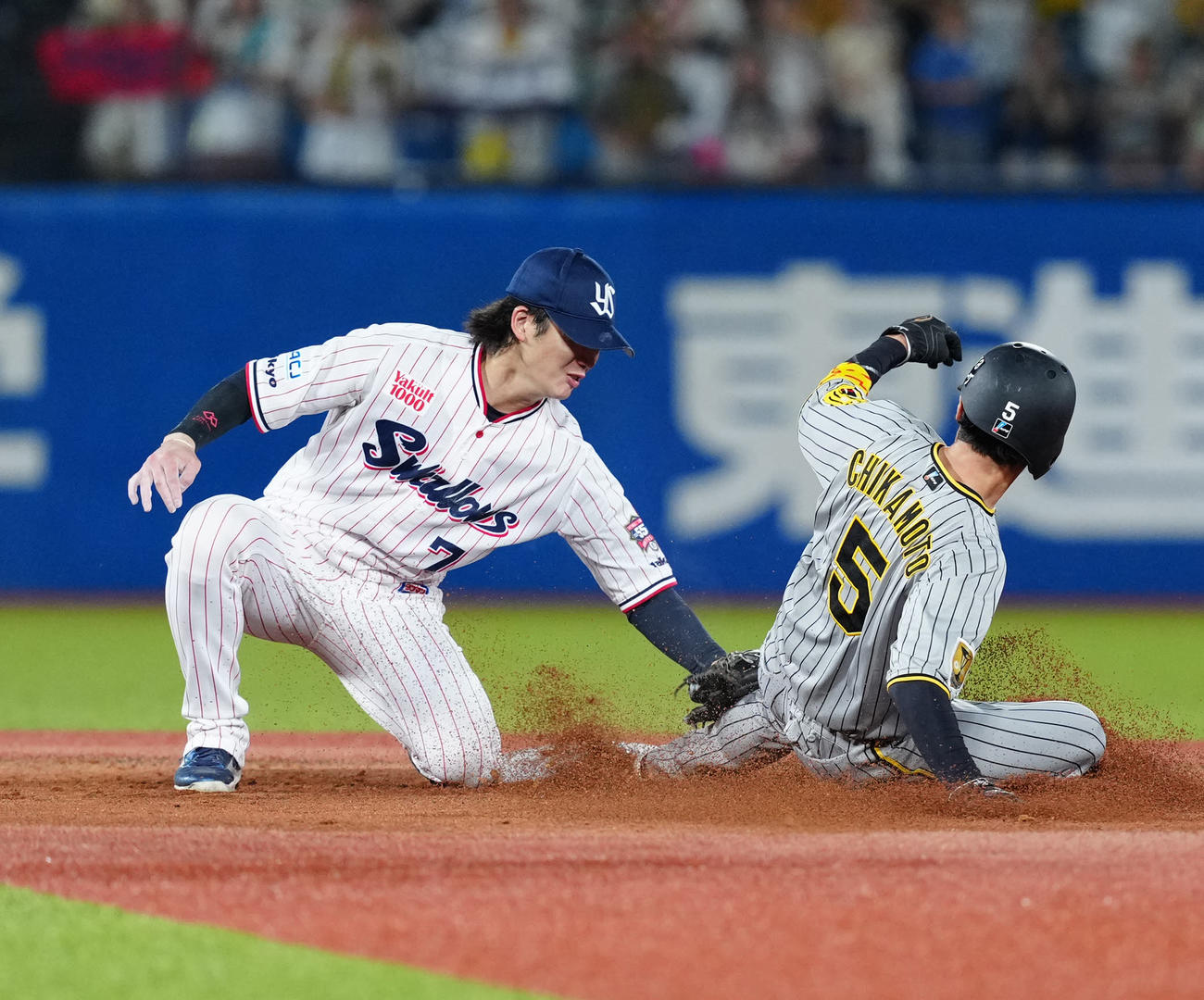 ヤクルト対阪神　2回表阪神2死一塁、二塁盗塁を失敗する近本（右）。遊撃手長岡（撮影・江口和貴）