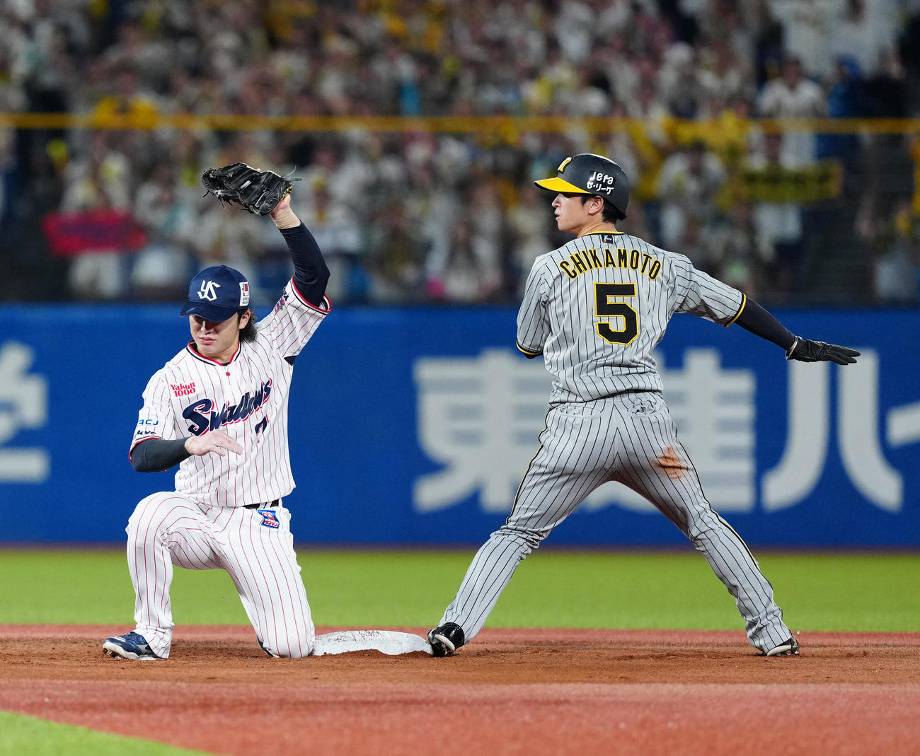 ヤクルト対阪神　2回表阪神2死一塁、二塁盗塁を失敗した近本（右）。遊撃手長岡（撮影・江口和貴）