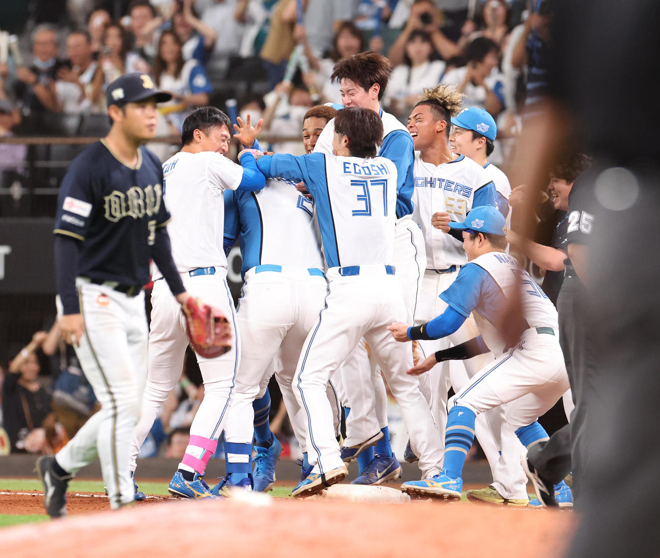 日本ハム対オリックス　9回裏日本ハム2死満塁、サヨナラ勝利に歓喜するナインたち（撮影・佐藤翔太）