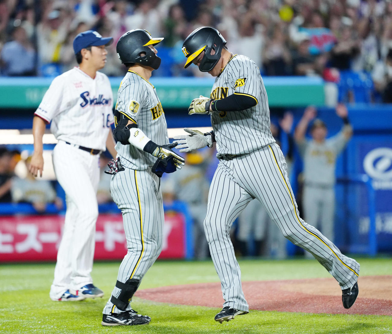 ヤクルト対阪神　5回表阪神無死二塁、佐藤輝の適時打で生還した大山（右）（撮影・江口和貴）