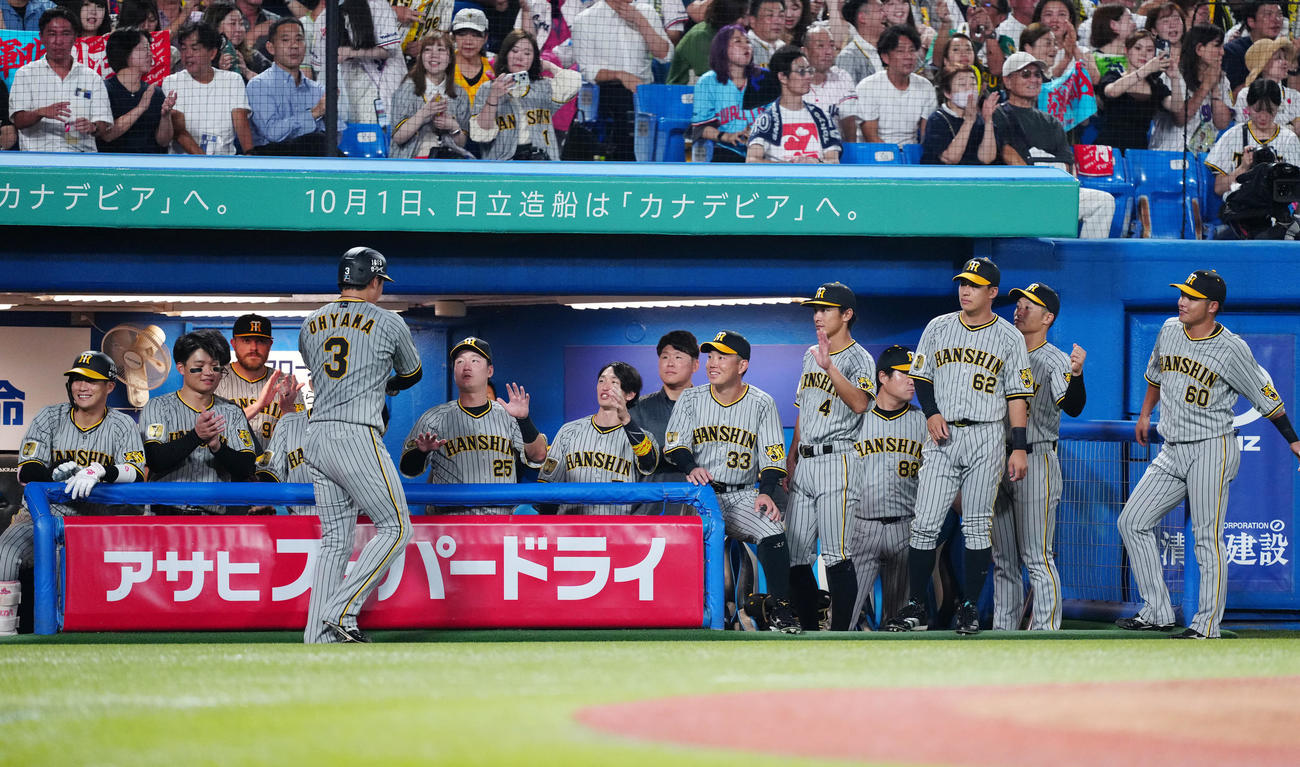 ヤクルト対阪神　5回表阪神無死二塁、佐藤輝の適時打で生還した大山（手前）を迎える選手たち（撮影・江口和貴）