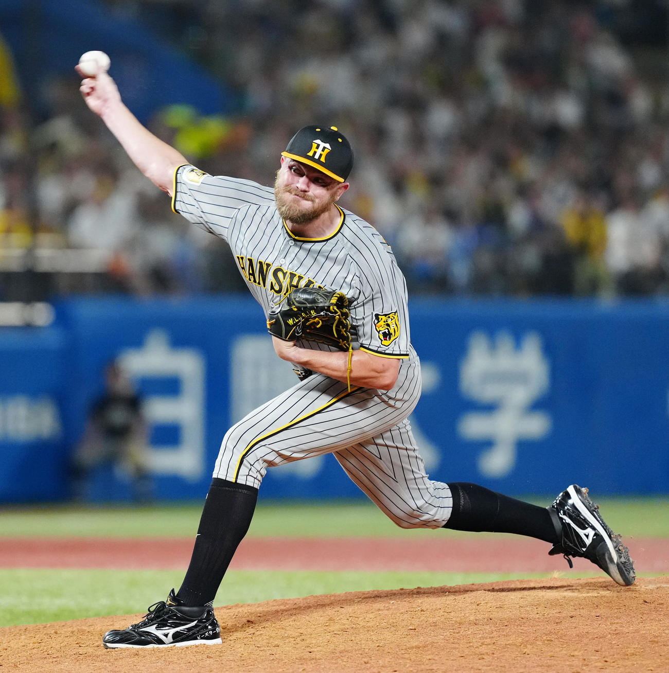 ヤクルト対阪神　5回裏、力投する阪神先発のビーズリー（撮影・江口和貴）