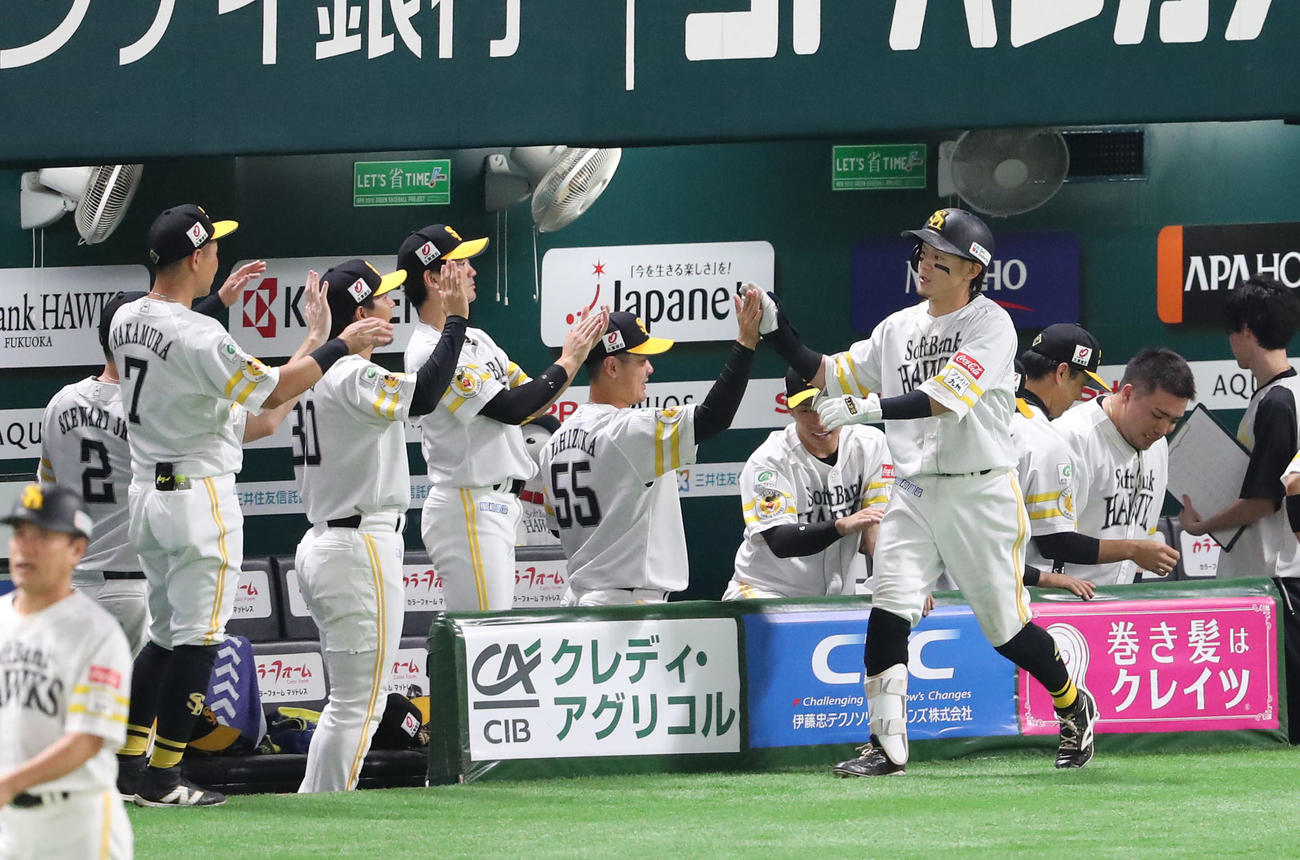 ソフトバンク対西武　3回裏ソフトバンク無死、牧原大は右越えに同点となる本塁打を放ちベンチのナインとハイタッチ（撮影・梅根麻紀）