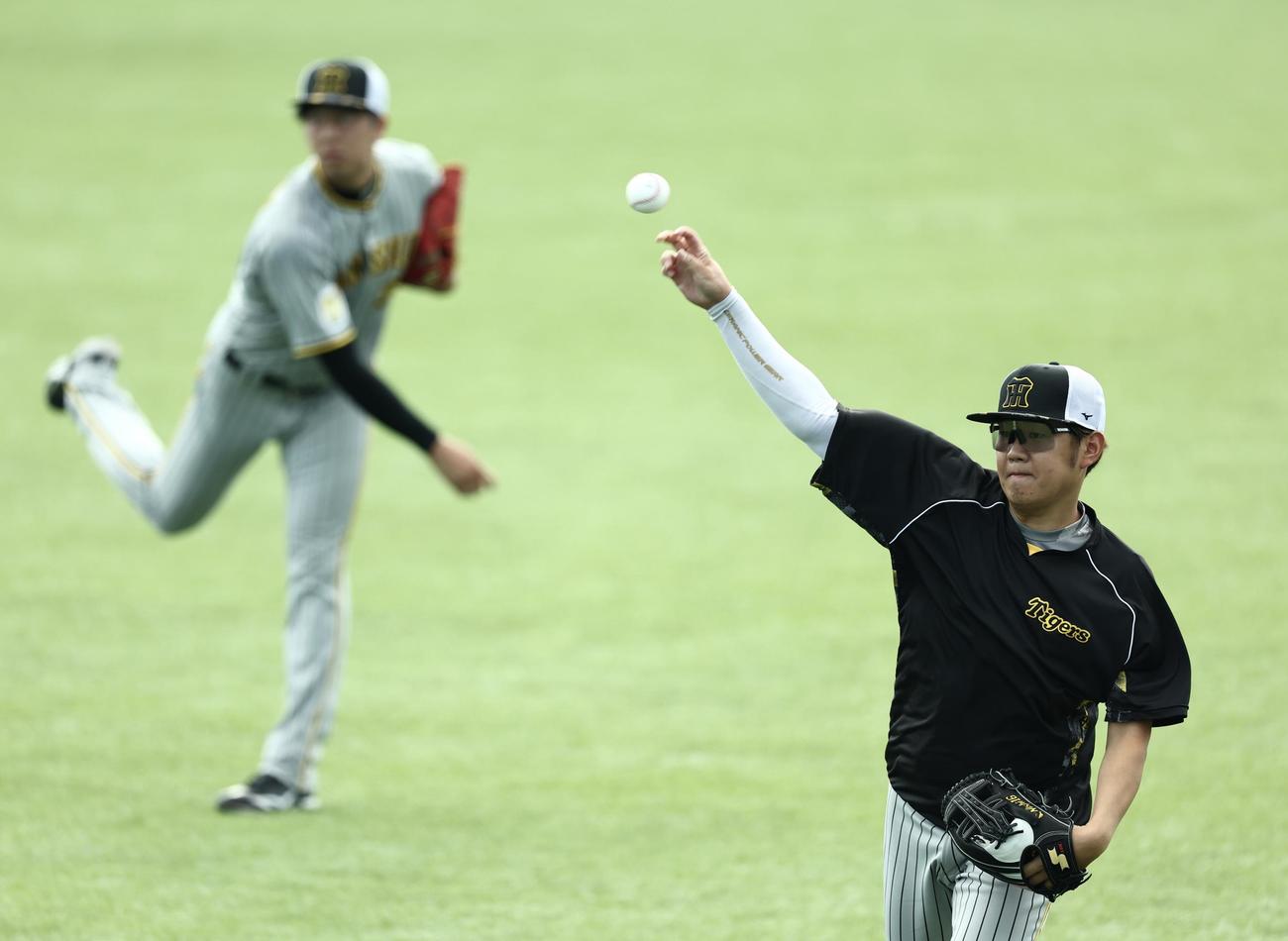 ヤクルト対阪神　試合前、キャッチボールする阪神西勇（手前）（撮影・河田真司）