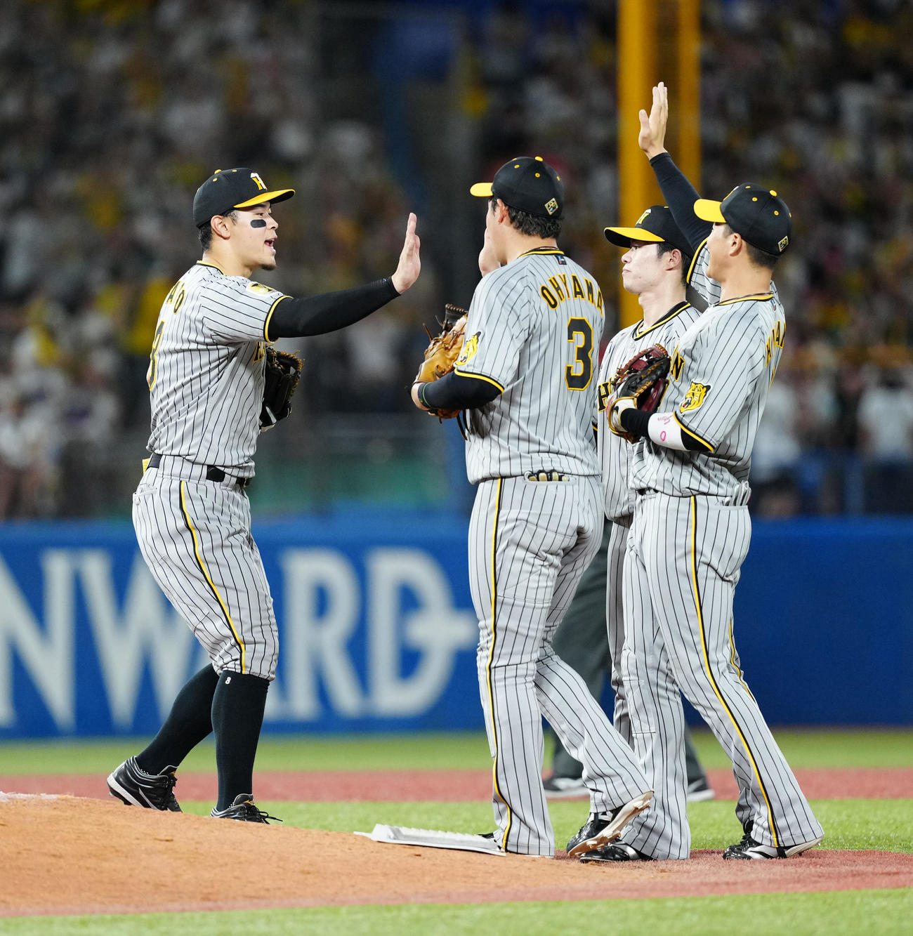 ヤクルト対阪神　試合後、タッチを交わす佐藤輝（左端）ら阪神の選手たち（撮影・江口和貴）