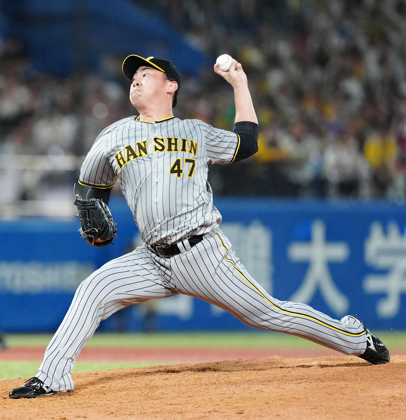 ヤクルト対阪神　阪神2番手の桐敷（撮影・江口和貴）
