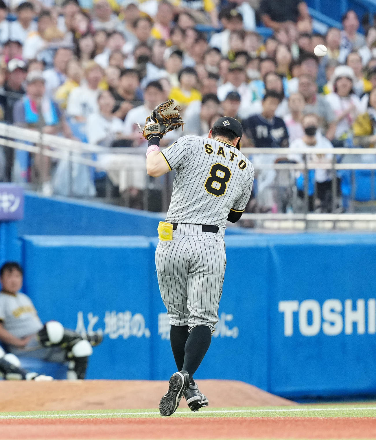 ヤクルト対阪神　3回裏ヤクルト1死、長岡の打球を落球する三塁手佐藤輝（撮影・江口和貴）