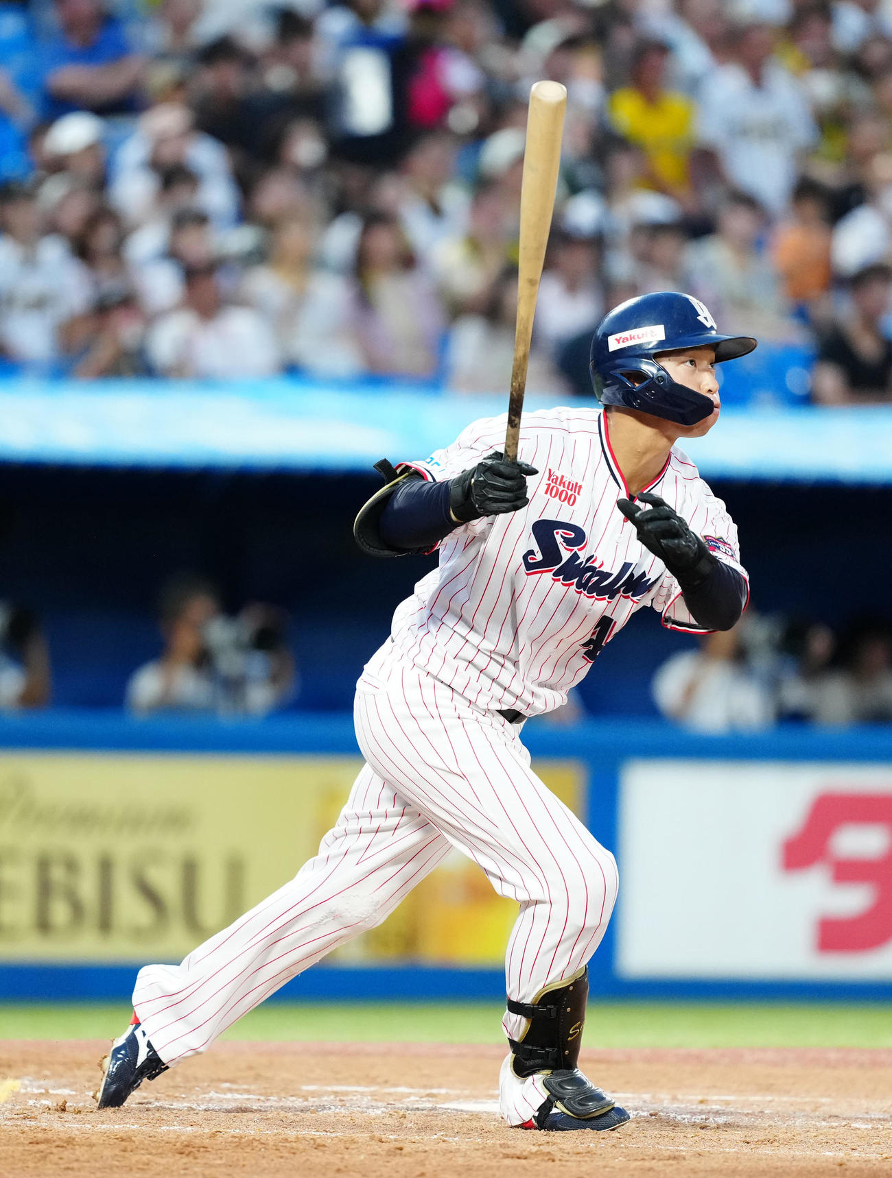 ヤクルト対阪神　3回裏ヤクルト2死一、二塁、プロ初となる3点本塁打を放つ沢井（撮影・江口和貴）