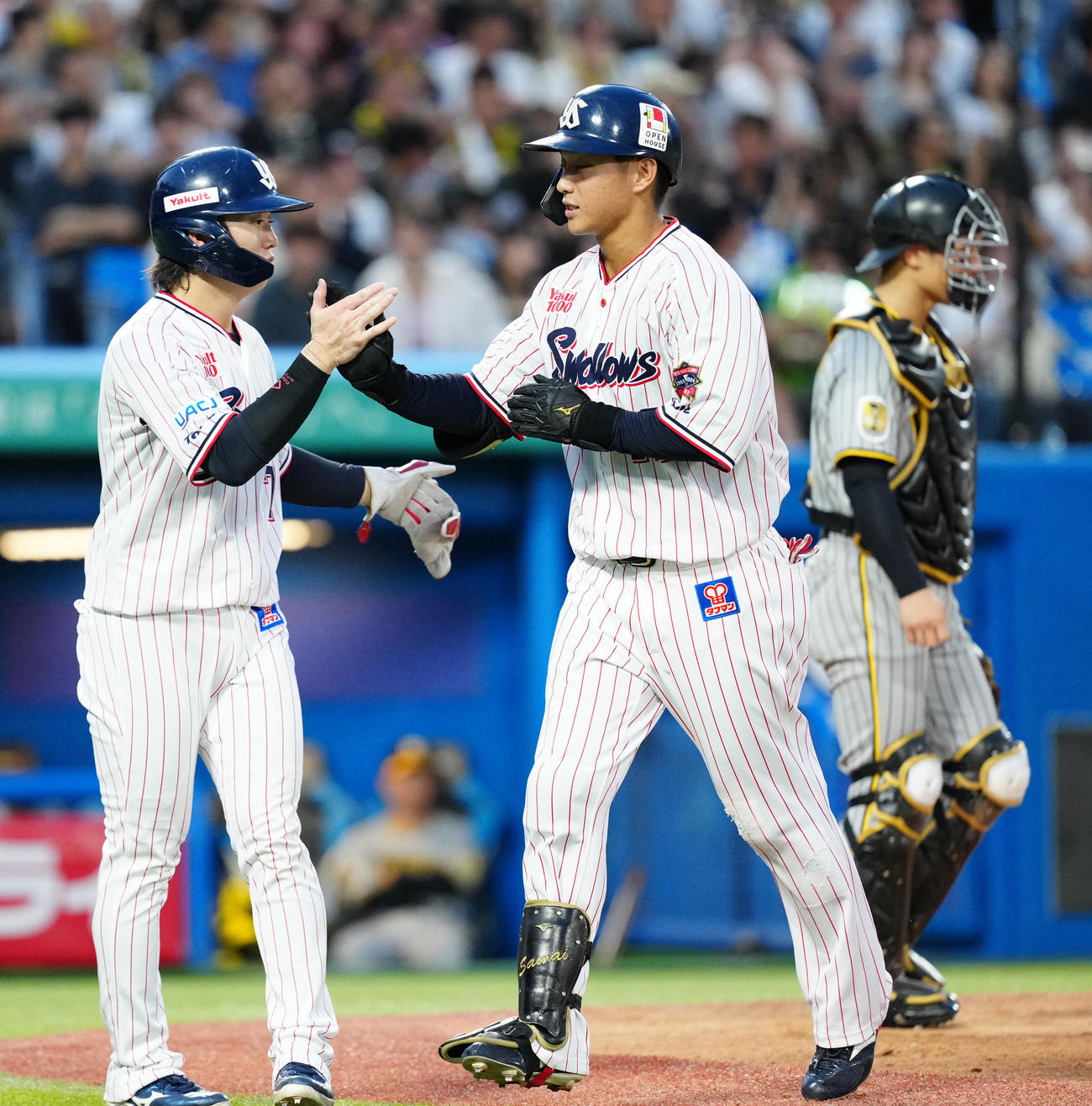 ヤクルト対阪神　3回裏ヤクルト2死一、二塁、3点本塁打を放ち長岡（左）とタッチを交わす沢井（撮影・江口和貴）
