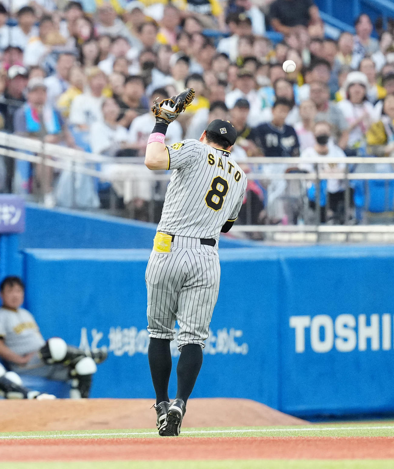 ヤクルト対阪神　3回裏ヤクルト1死、長岡の打球を落球する三塁手佐藤輝（撮影・江口和貴）