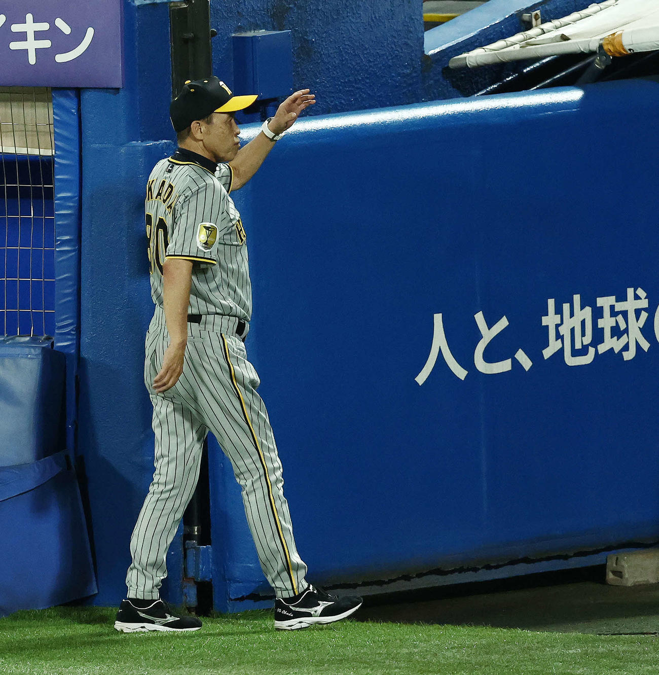 ヤクルト対阪神　ヤクルトに敗れ引き揚げる岡田監督（撮影・河田真司）