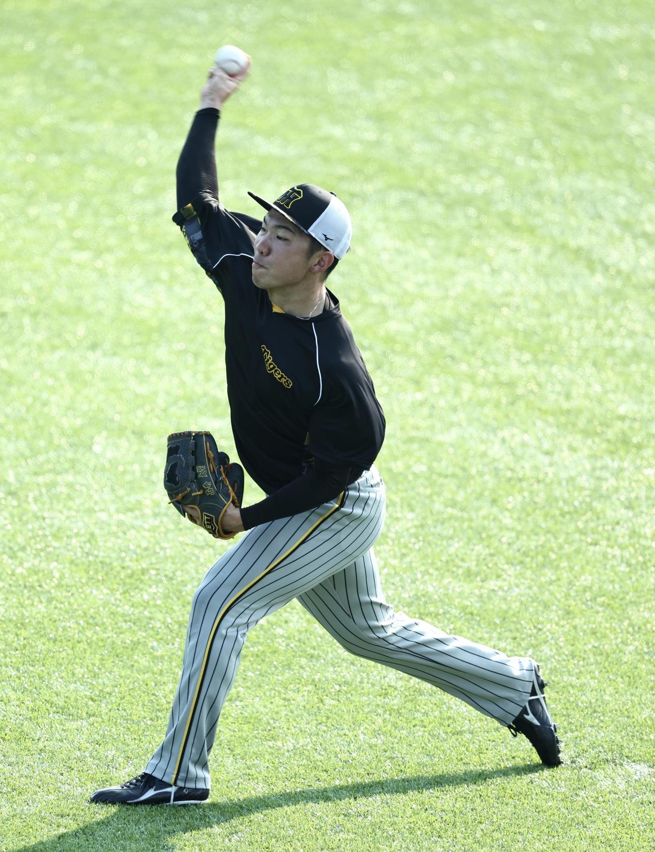 ヤクルト対阪神　試合前、キャッチボールする阪神石井（撮影・河田真司）