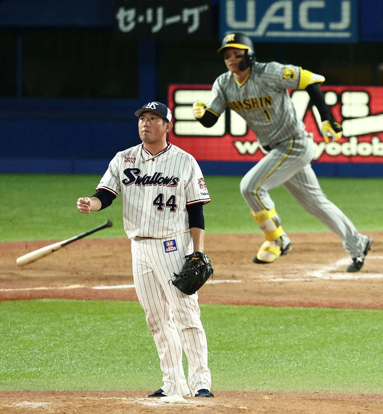 ヤクルト対阪神　8回表阪神2死三塁、森下を右飛に仕留める大西（撮影・河田真司）