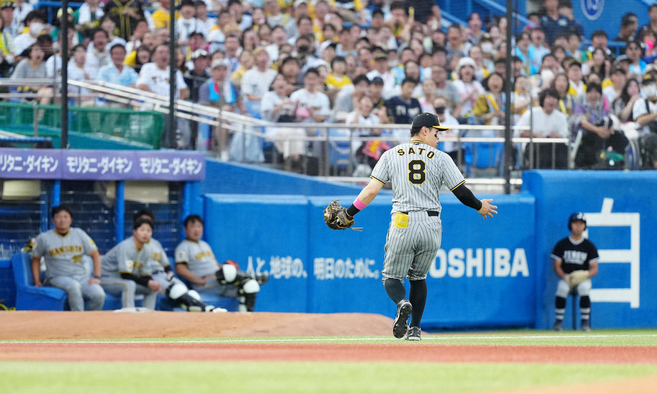 ヤクルト対阪神　3回裏ヤクルト1死、長岡の打球を落球した三塁手佐藤輝（撮影・江口和貴）