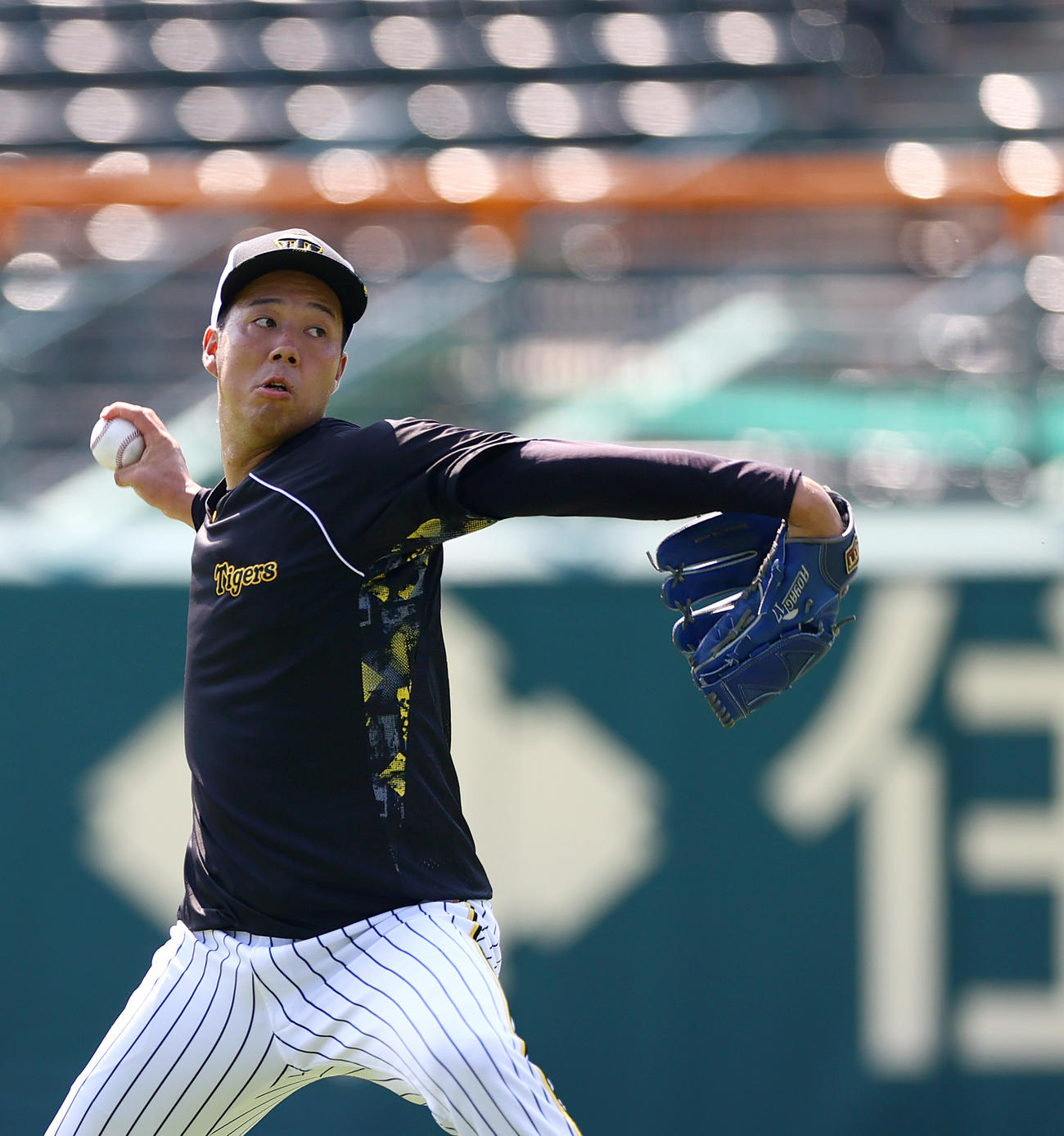 甲子園球場でキャッチボールする阪神青柳（撮影・上山淳一）