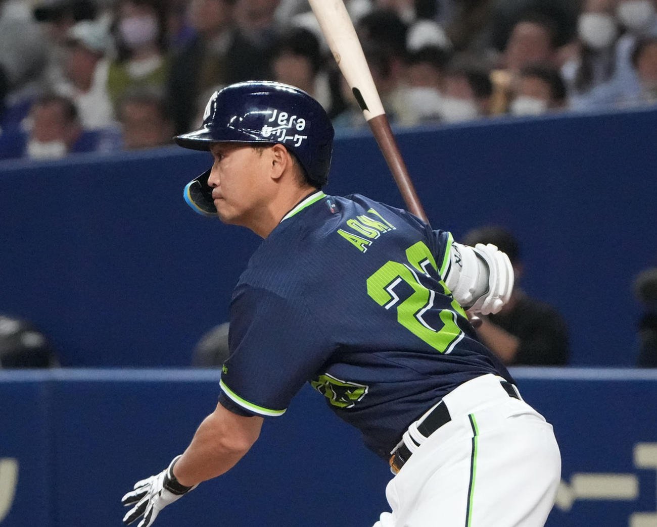 ヤクルト青木宣親（2024年撮影）