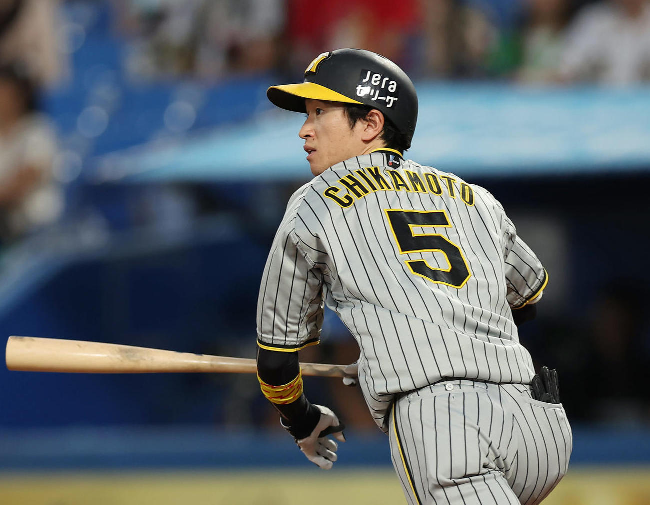 阪神近本光司（2024年9月7日撮影）