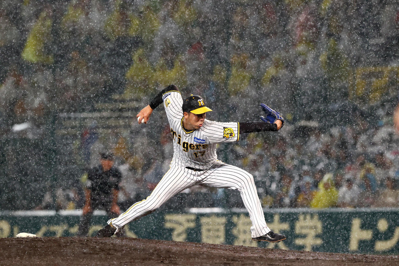 阪神対DeNA 4回表、雨の中、力投する阪神先発の青柳（撮影・上山淳一）