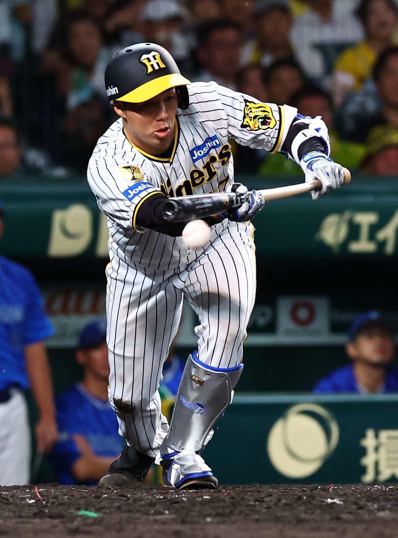 阪神対DeNA 4回裏阪神1死一、三塁、青柳はセーフティースクイズを決める（撮影・上田博志）
