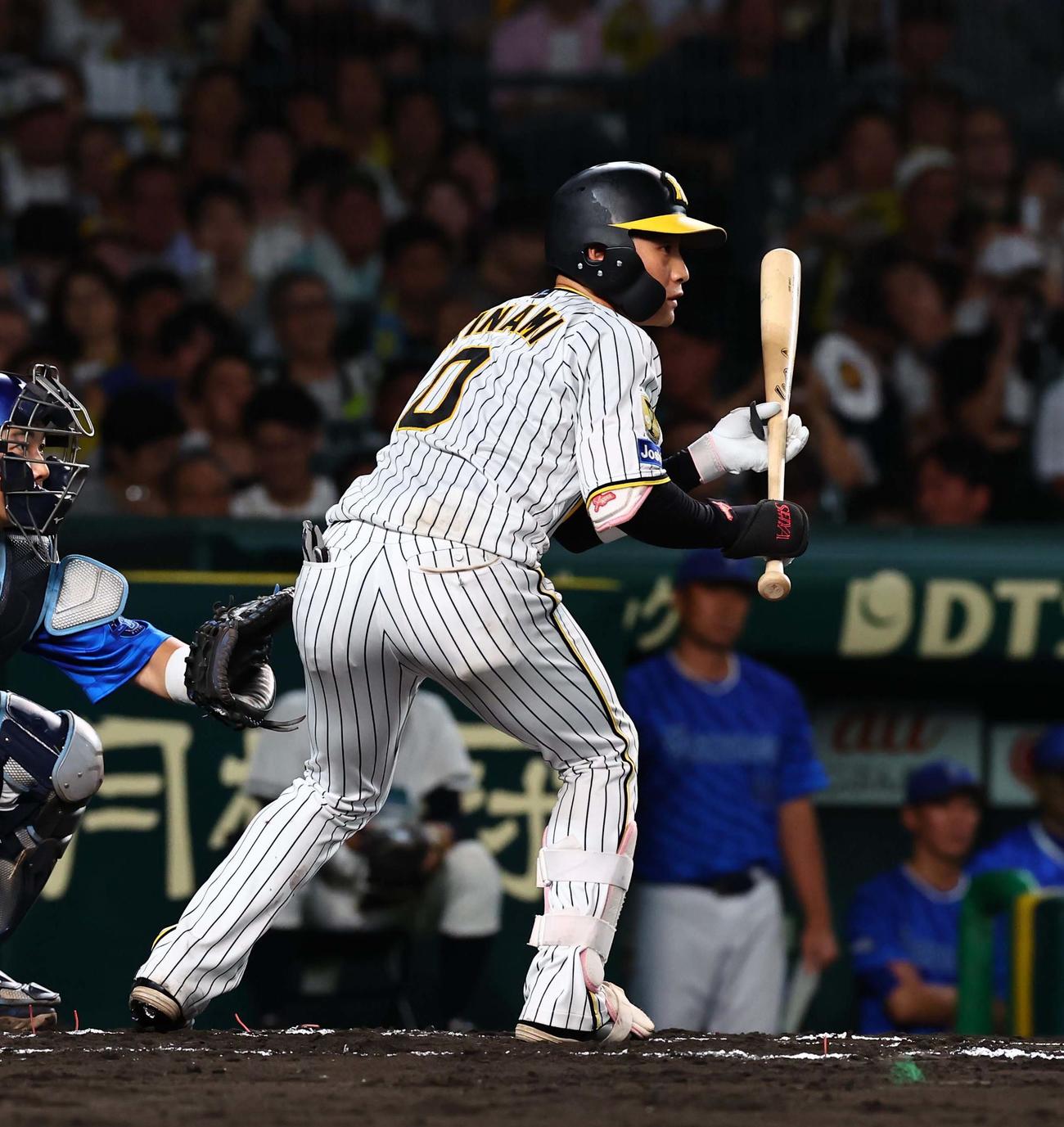 阪神対DeNA 6回裏阪神無死一塁、バントの構えをする木浪（撮影・上田博志）