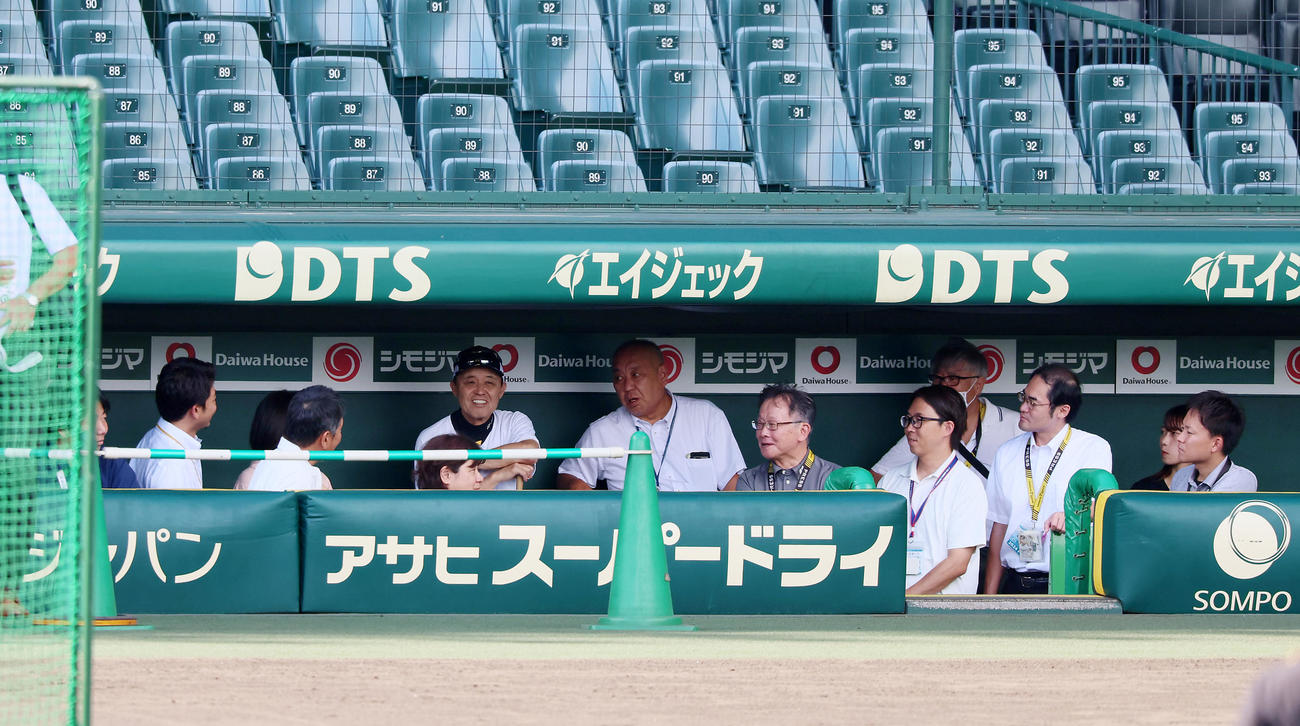 阪神対DeNA　ベンチに座り、練習を見ながら記者と話す岡田監督（撮影・加藤哉）