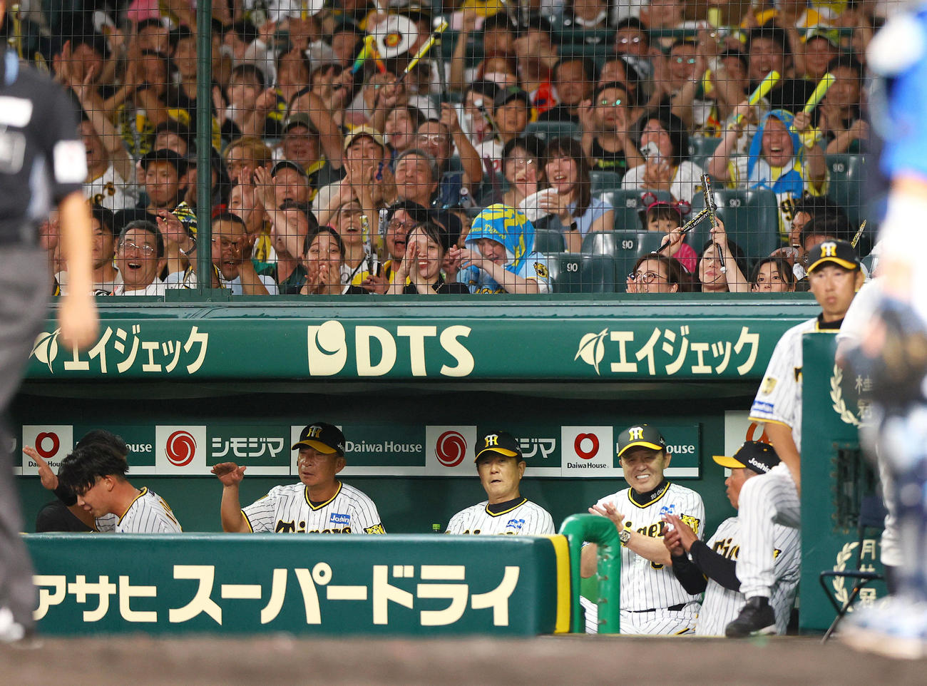 阪神対DeNA 4回裏阪神1死一、三塁、青柳のセーフティースクイズで三走井上の生還でリクエストもセーフとなり喜ぶ岡田監督ら（撮影・上山淳一）