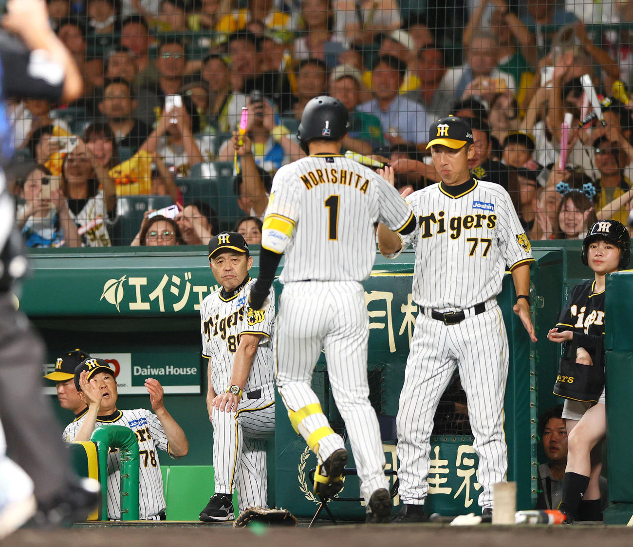 阪神対DeNA 5回裏阪神1死、森下（手前）は左越えソロ本塁打を放ち、岡田監督（左から3人目）らから迎えられる（撮影・上山淳一）